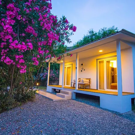 Damla Sogut Daily Weekly Villa *
