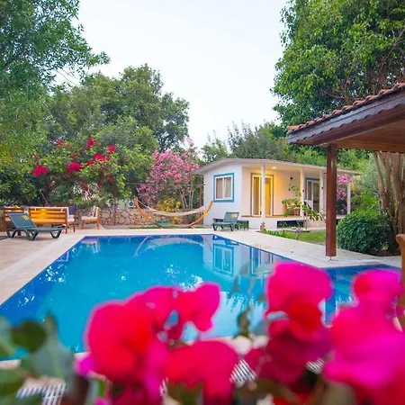 Villa Damla Sogut Daily Weekly